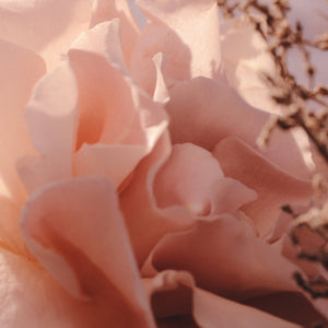 Floral vs. Woody: Layering for Different Effects