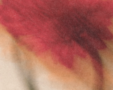 Why Layering Scents Elevates Daily Rituals