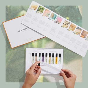 Discovery Sets: Complete Buying Checklist