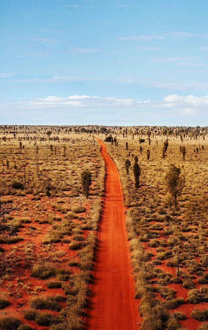Australian outback landscape with a red dirt road stretching through native bushland under a vast blue sky, capturing the rugged beauty and natural inspiration behind Australian fragrances.