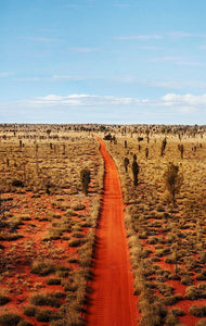 How Australian Landscapes Inspire Native Botanicals