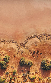 7 Australian Landscapes Shape Fine Fragrance