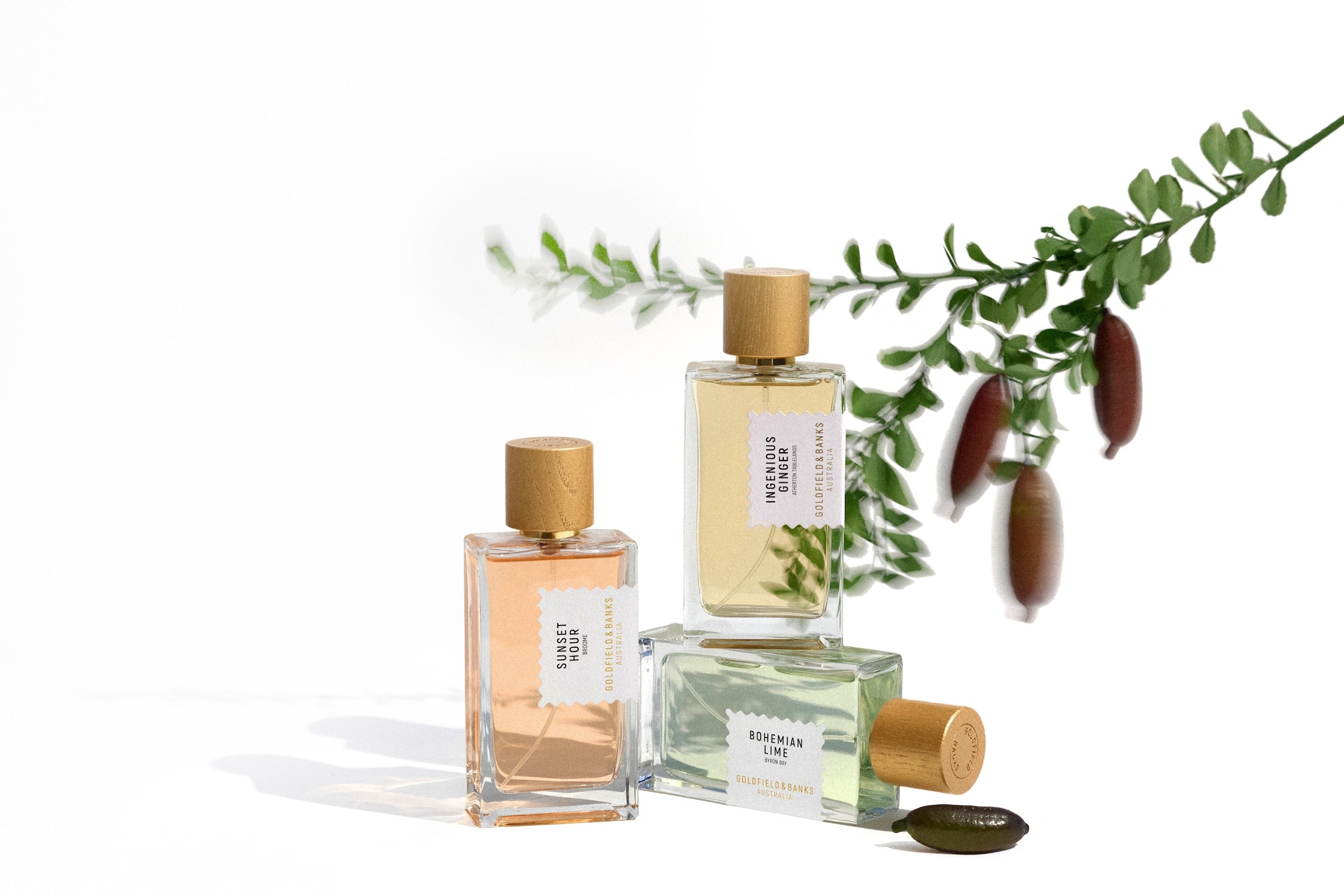 The Native Collection