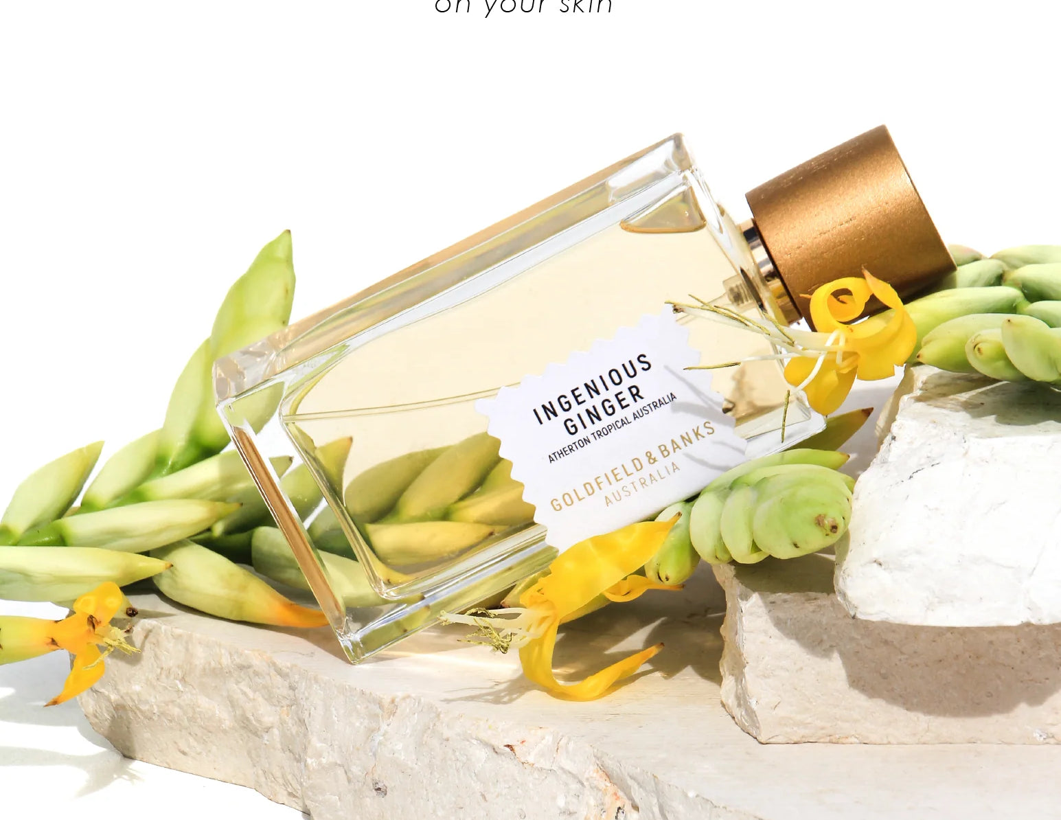 Ingenious Ginger - Goldfield & Banks Luxury Fragrance -Eau de Parfum