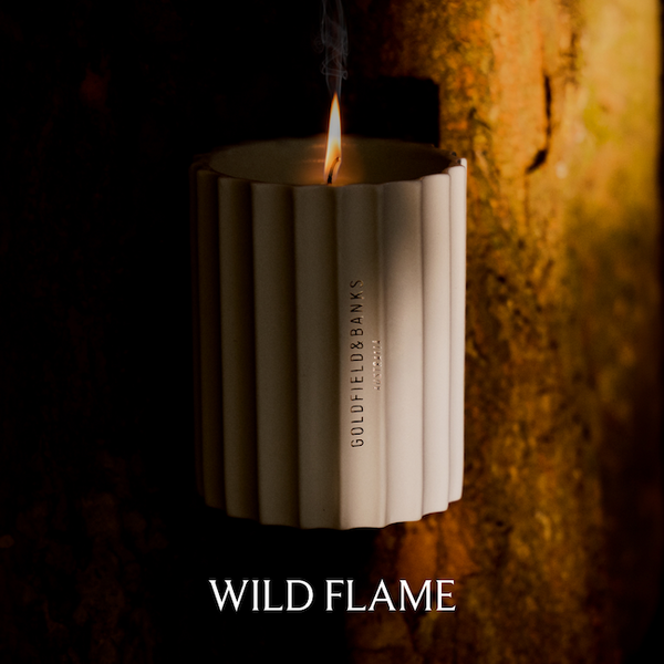 Wild Flame | Bougie parfumée chyprée et boisée