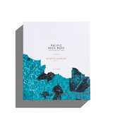 Pacific Rock Moss Christmas Limited Edition Set - Goldfield & Banks Australia - Fragrance