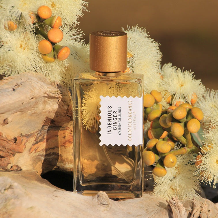 Ingenious Ginger Eau de Parfum | Floral Amber Fragrance