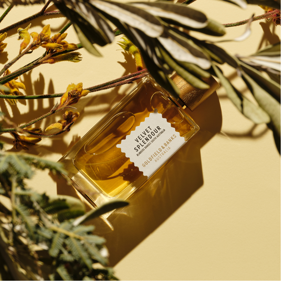 Velvet Splendour - Goldfield & Banks Australia Luxury Perfume House 